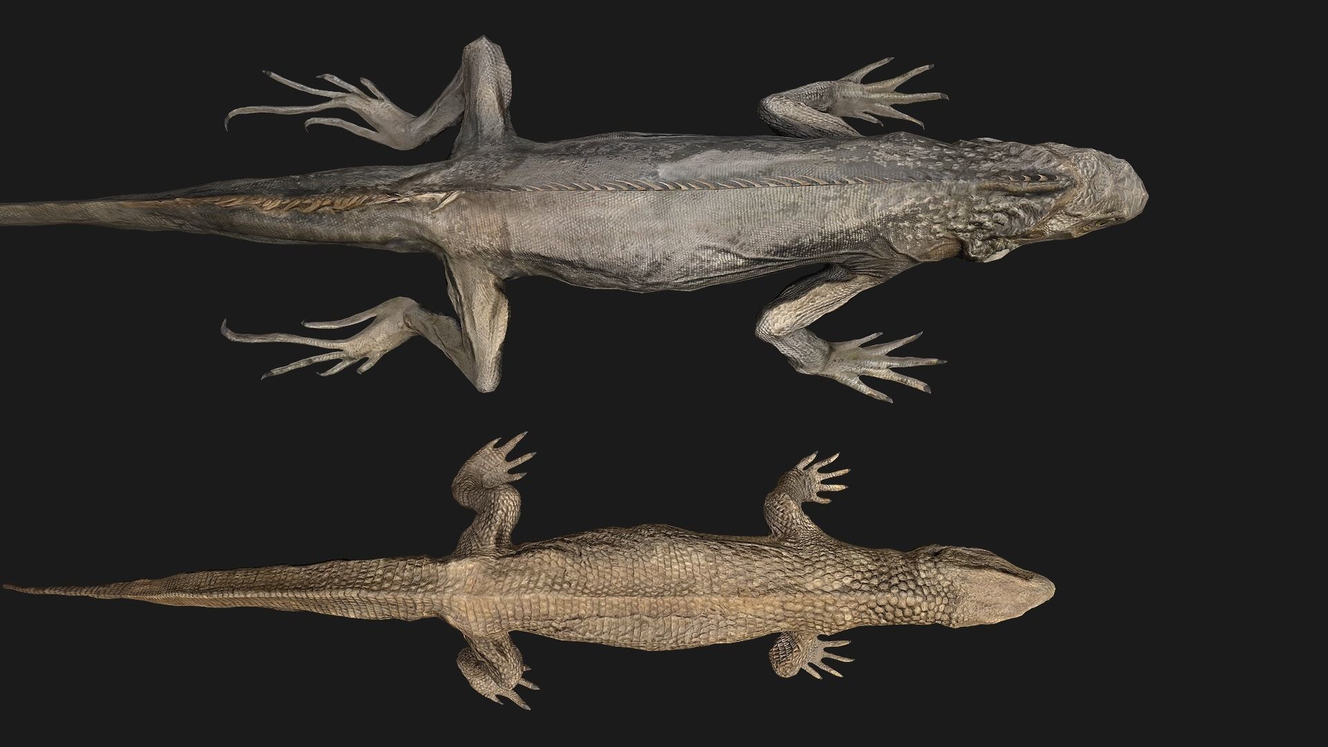 Reptile set  Low-poly 3D model_4