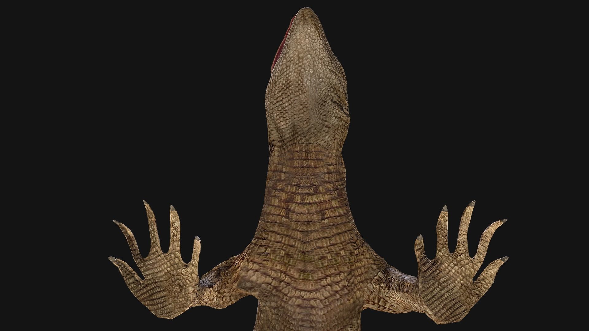 Reptile set  Low-poly 3D model_42