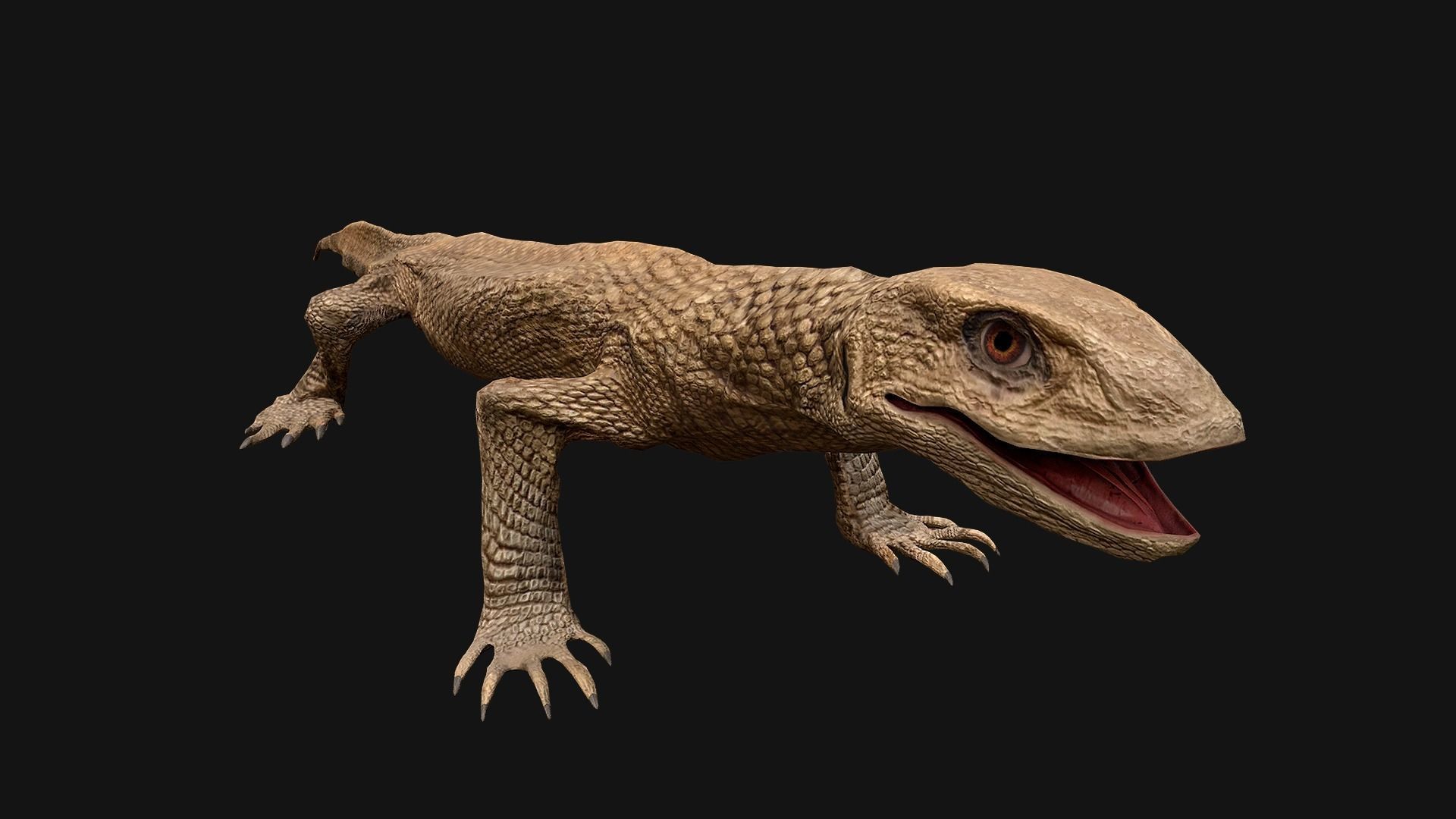 Reptile set  Low-poly 3D model_20