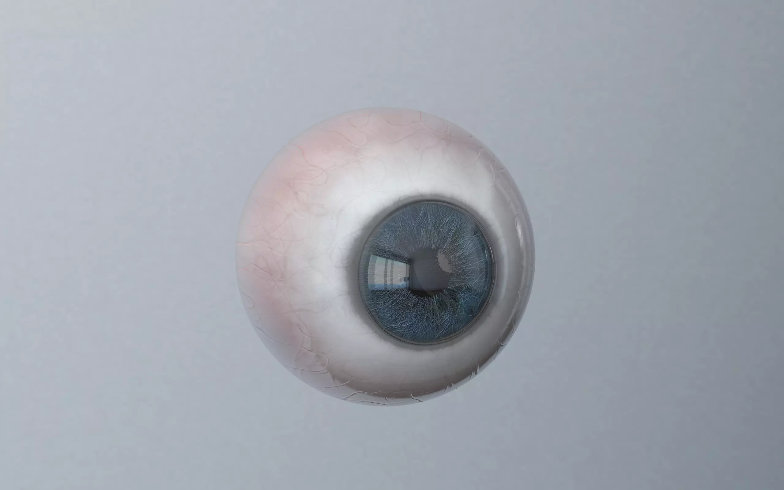 Brown Blue Eye 3D model