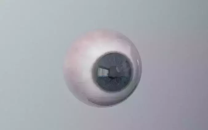 Brown Blue Eye 3D model
