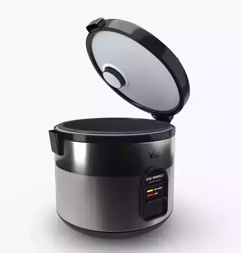 Steamer and Rice Cooker 703