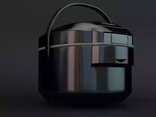 Steamer and Rice Cooker 5415