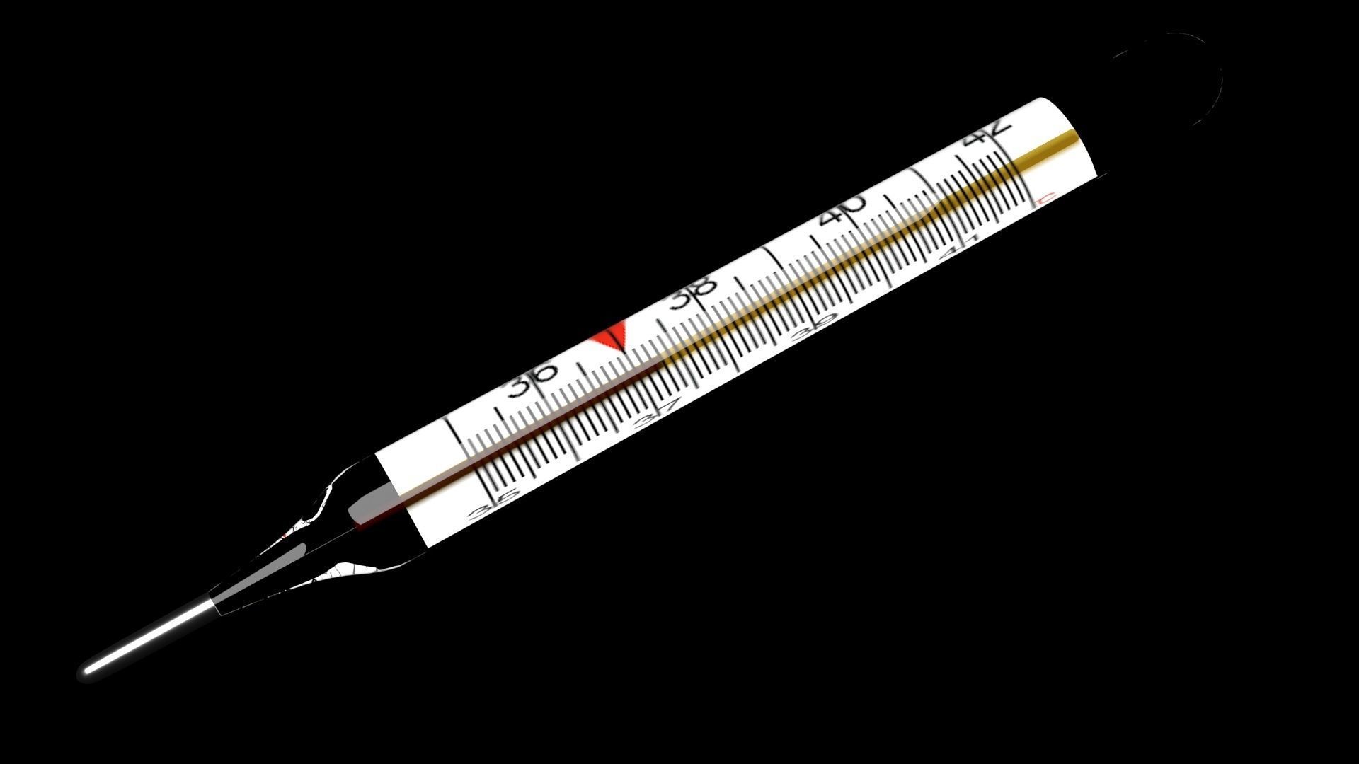 Thermometer 3D model_11