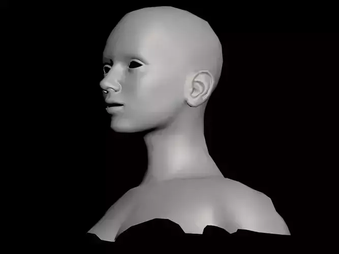 Base mesh topology face