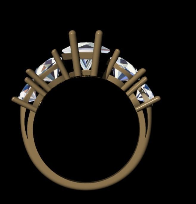 Ring pl25 3D print model_16