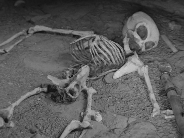 Humanoid Alien Skeleton  Low-poly 3D model_7