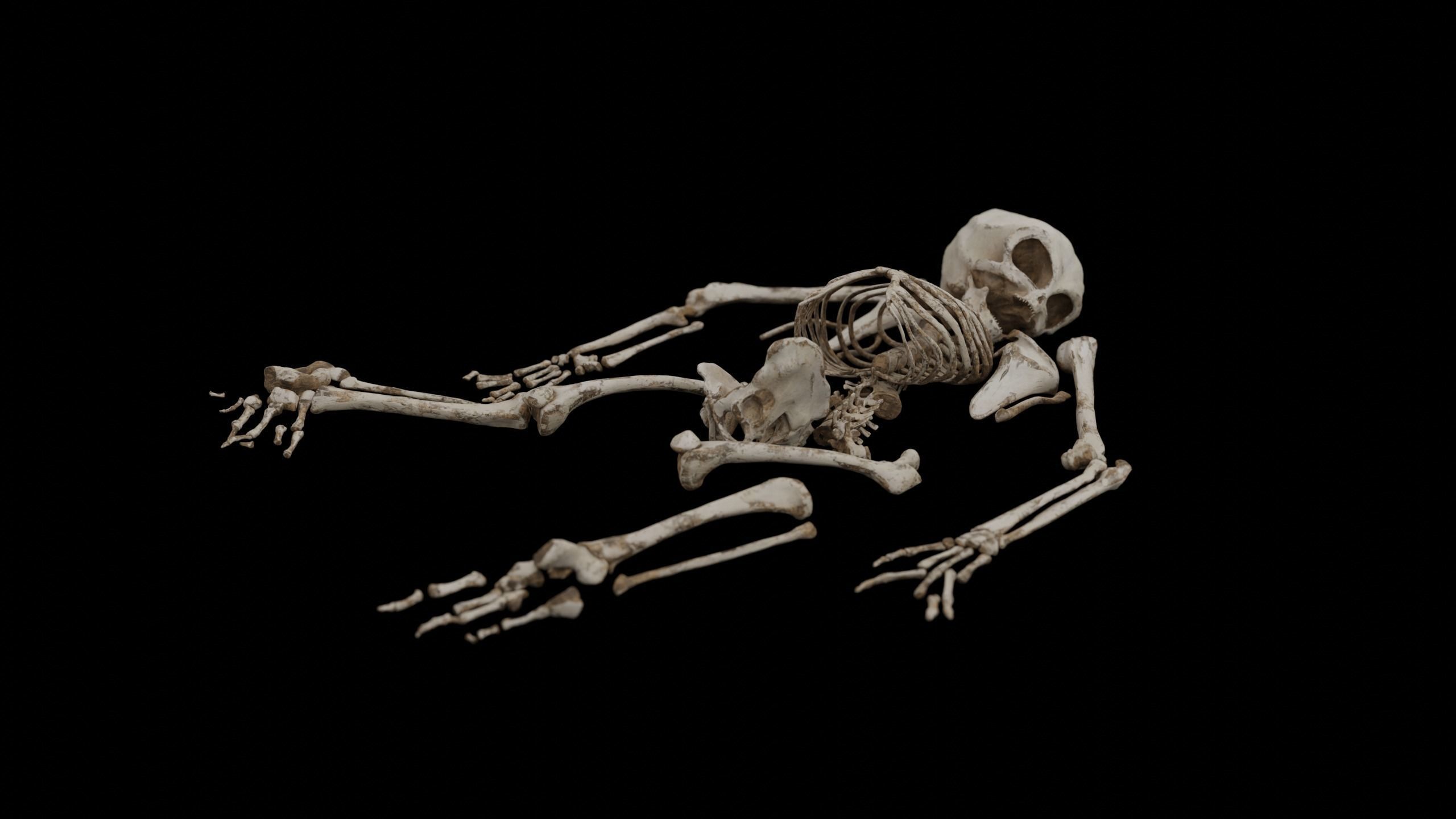Humanoid Alien Skeleton  Low-poly 3D model_17