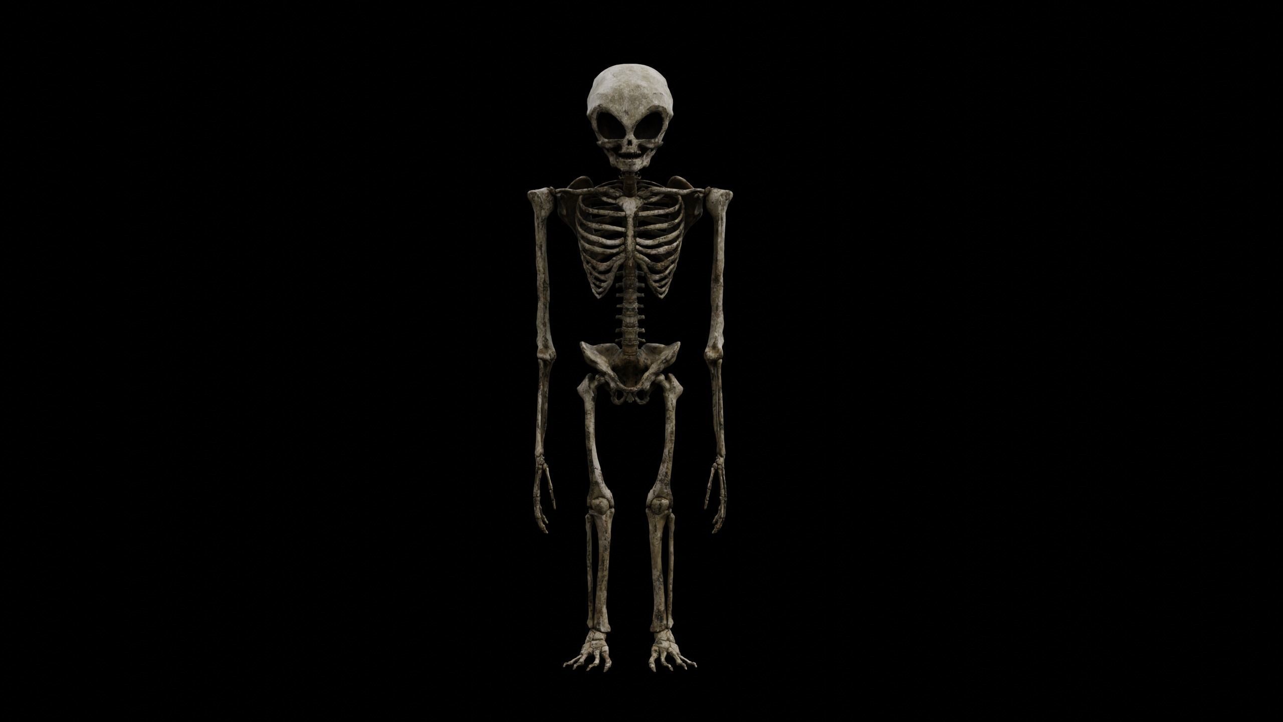Humanoid Alien Skeleton  Low-poly 3D model_25