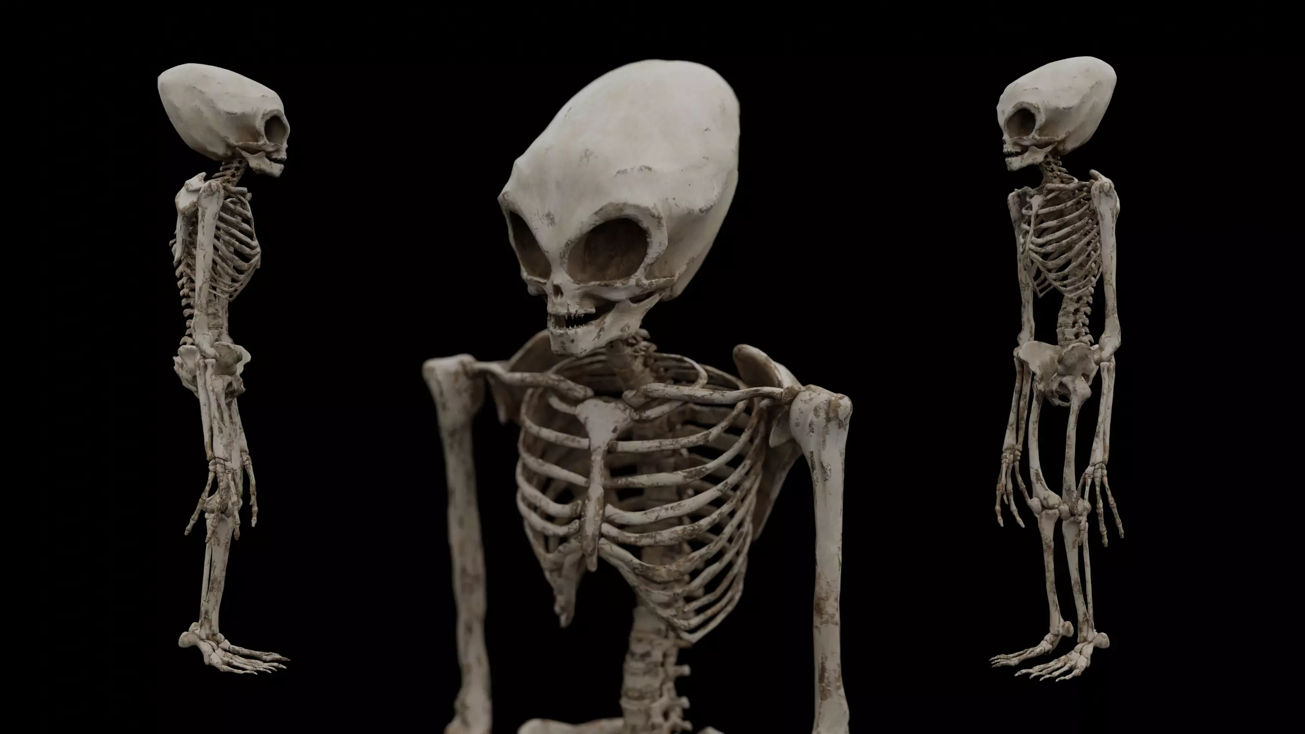 Humanoid Alien Skeleton  Low-poly 3D model_0