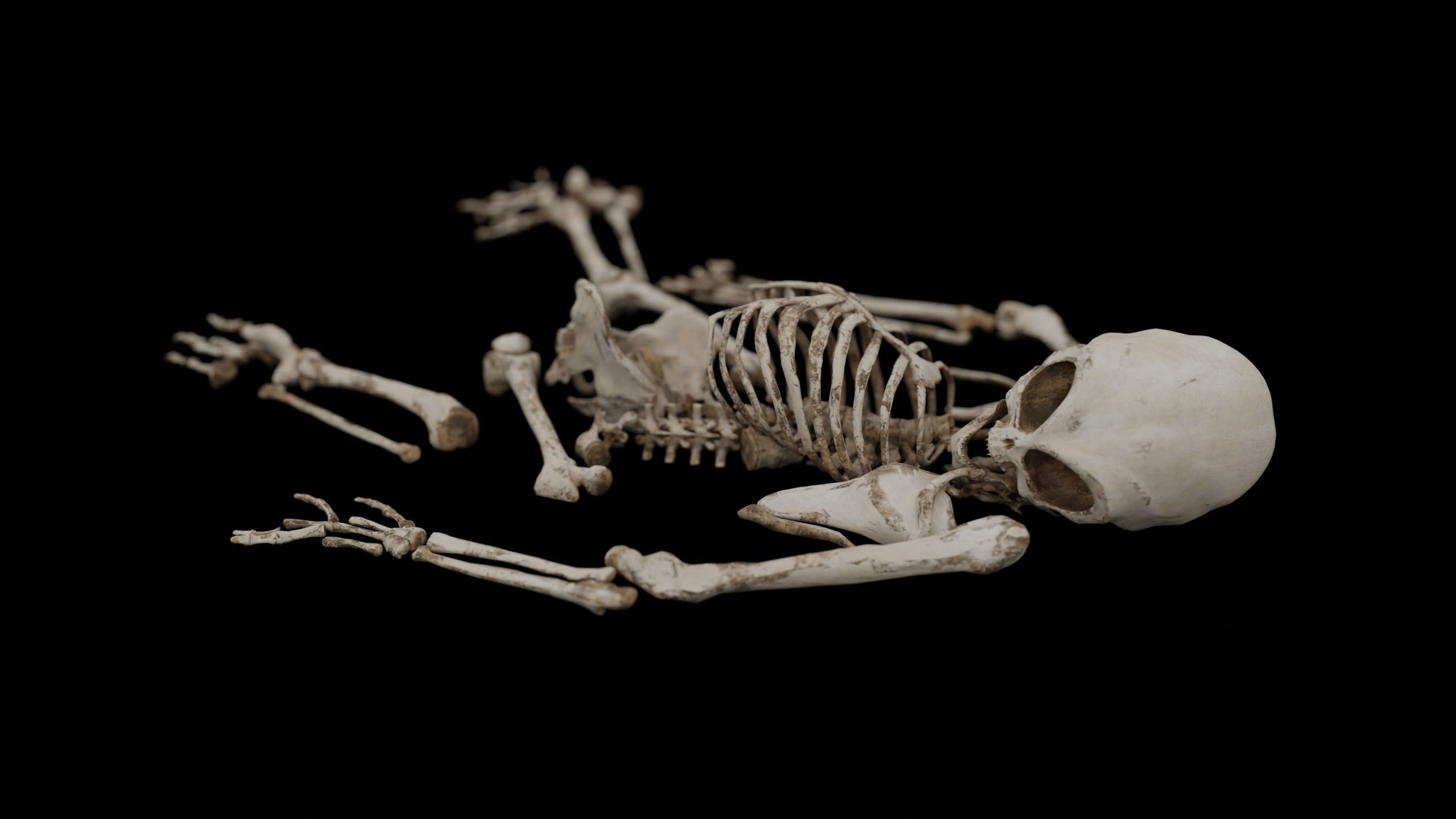 Humanoid Alien Skeleton  Low-poly 3D model_15