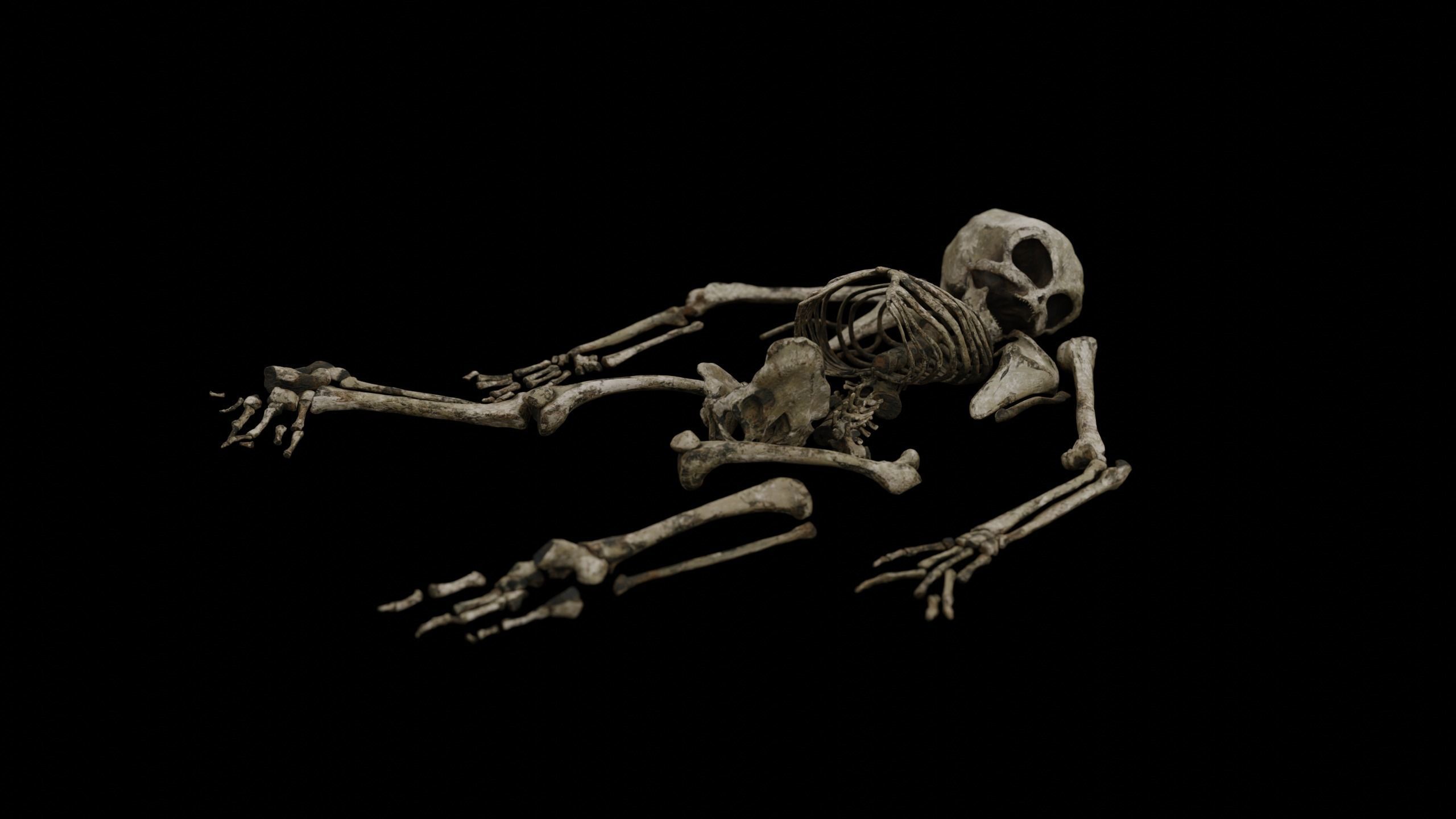 Humanoid Alien Skeleton  Low-poly 3D model_22