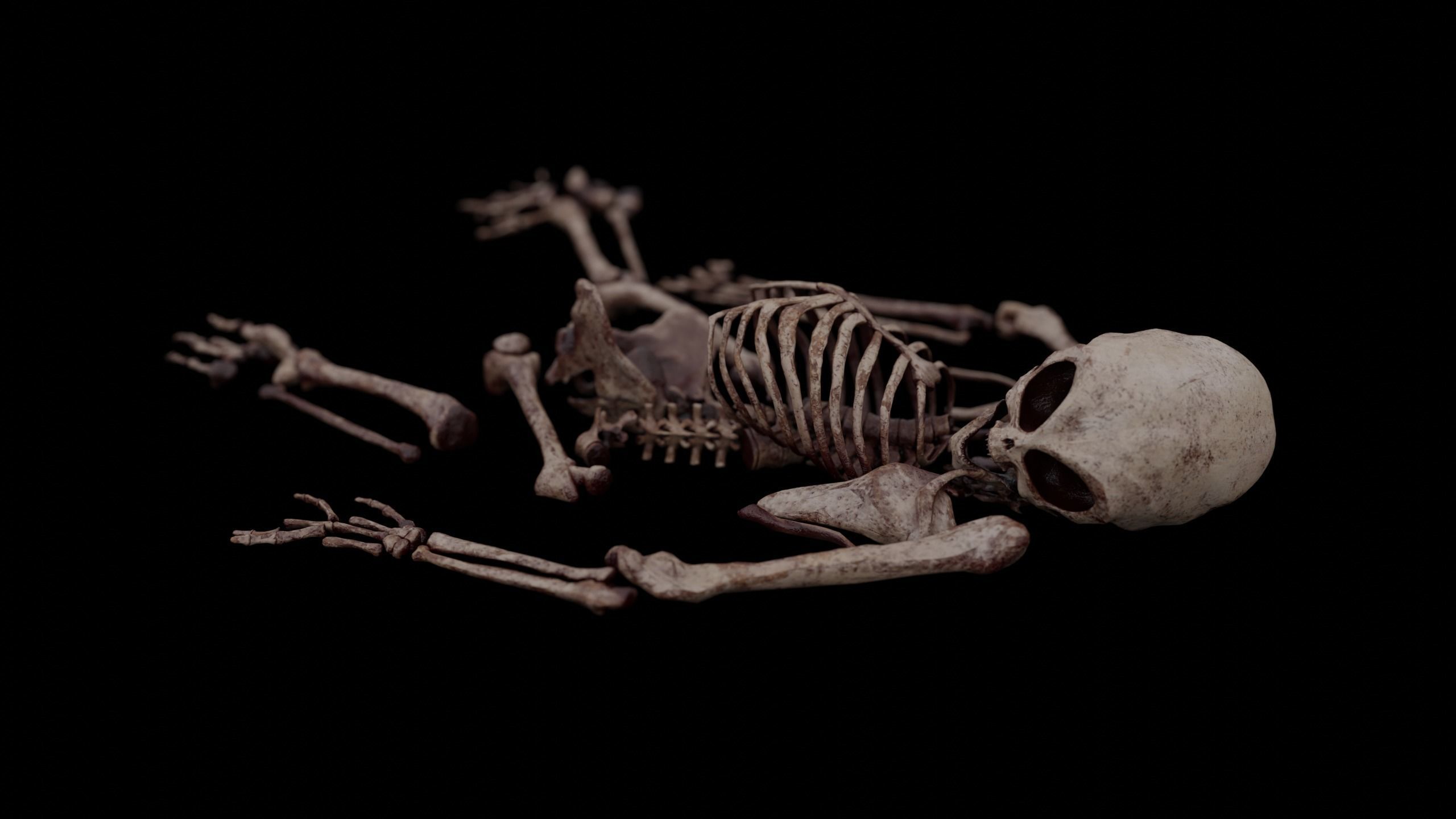 Humanoid Alien Skeleton  Low-poly 3D model_23