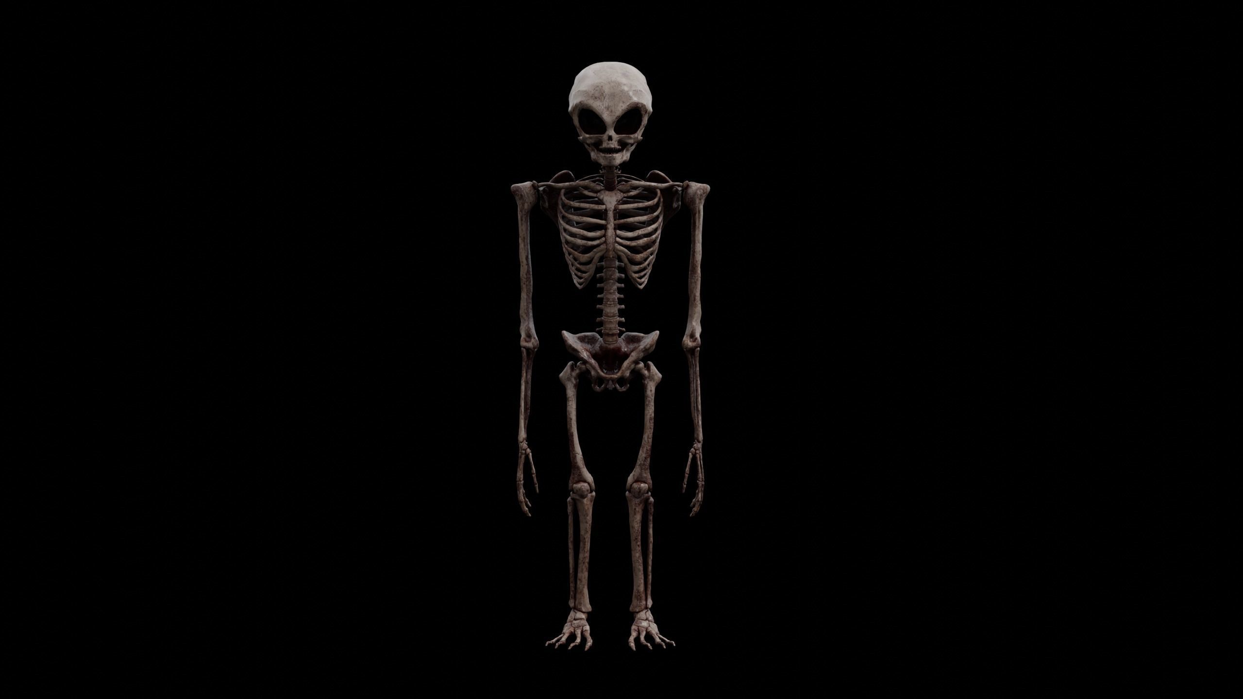 Humanoid Alien Skeleton  Low-poly 3D model_20