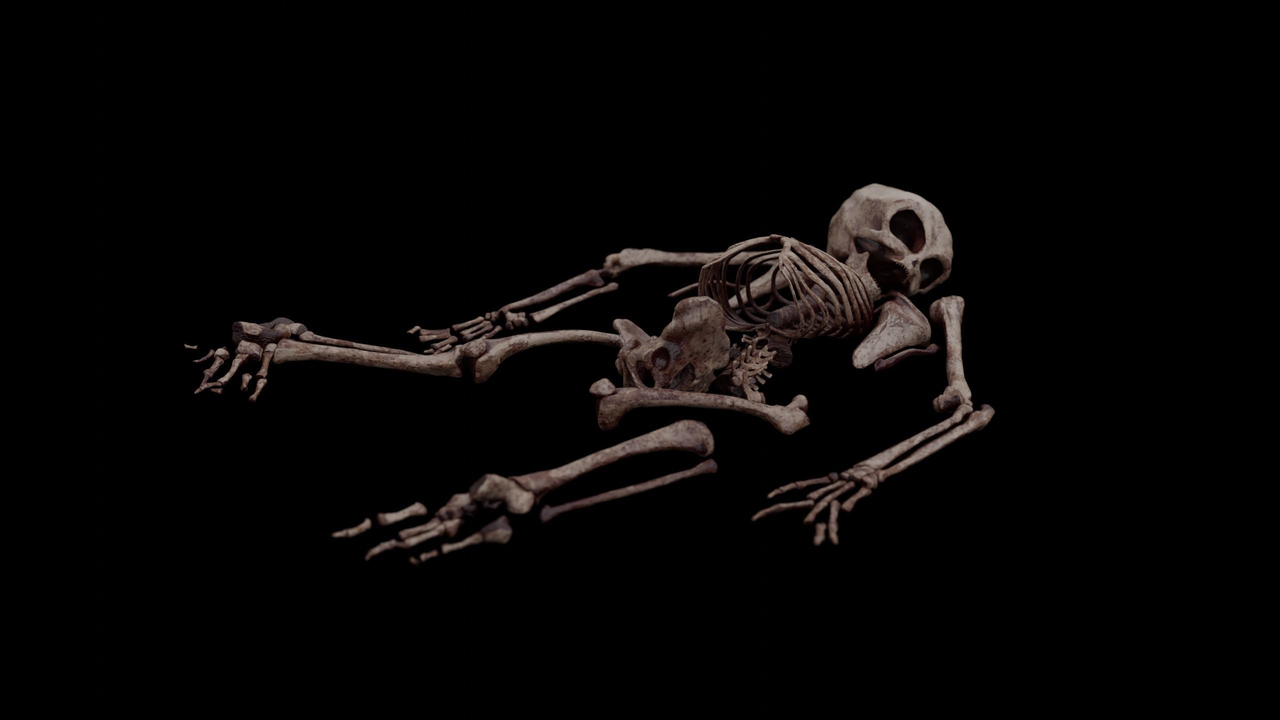 Humanoid Alien Skeleton  Low-poly 3D model_13