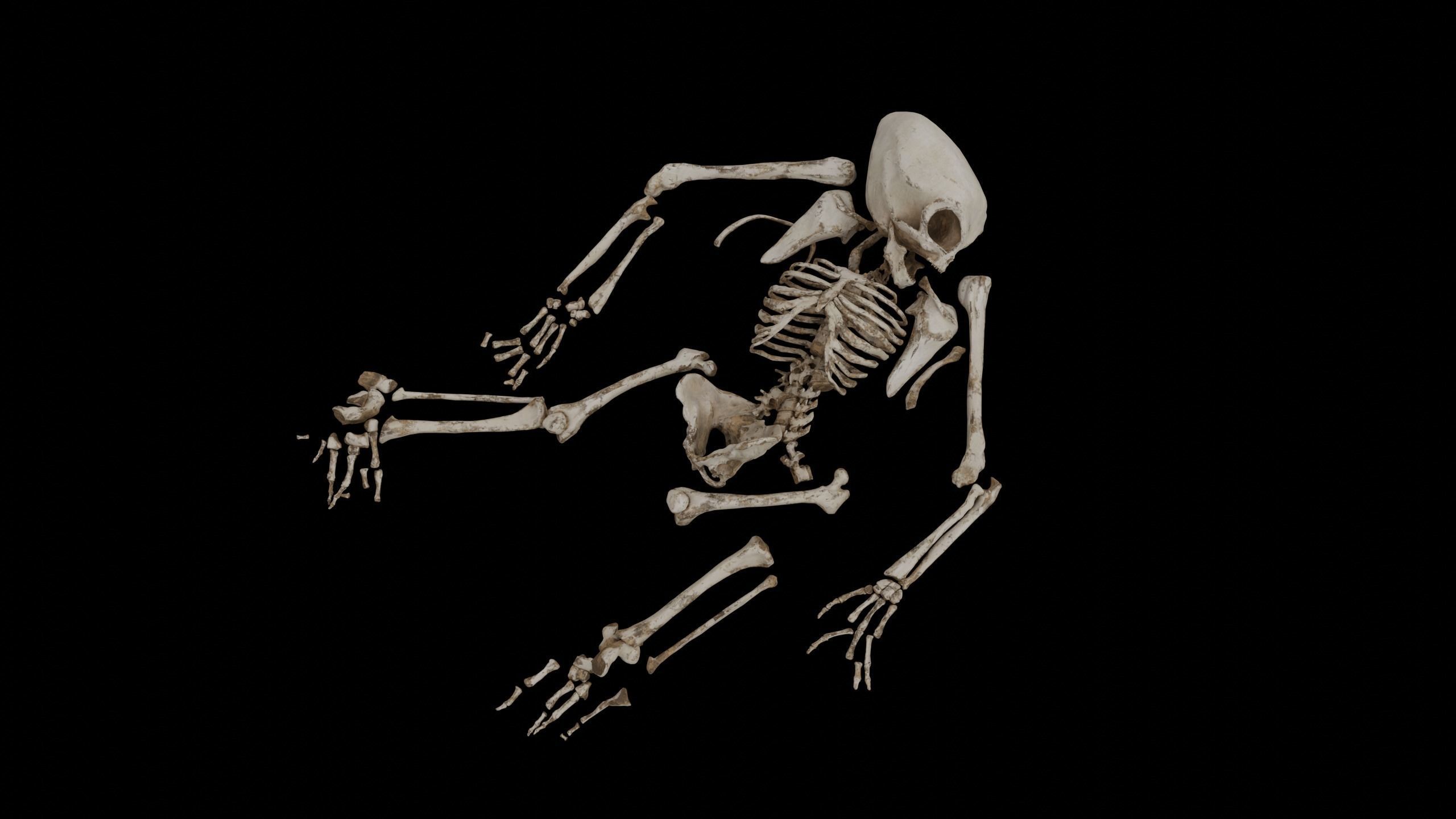 Humanoid Alien Skeleton  Low-poly 3D model_10