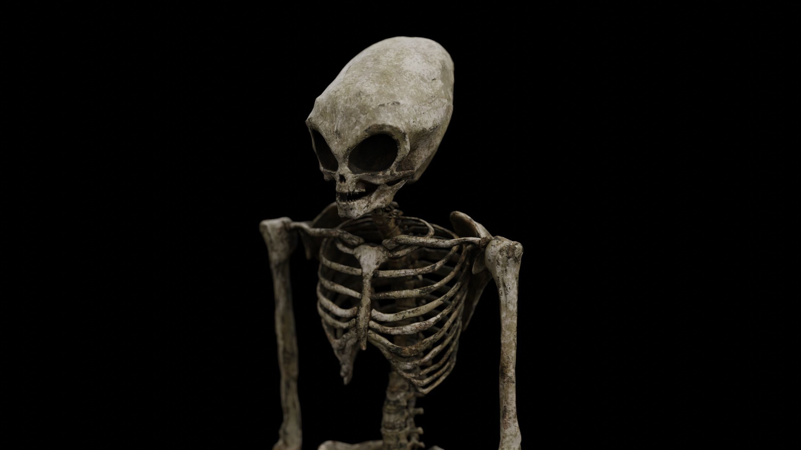 Humanoid Alien Skeleton  Low-poly 3D model_9