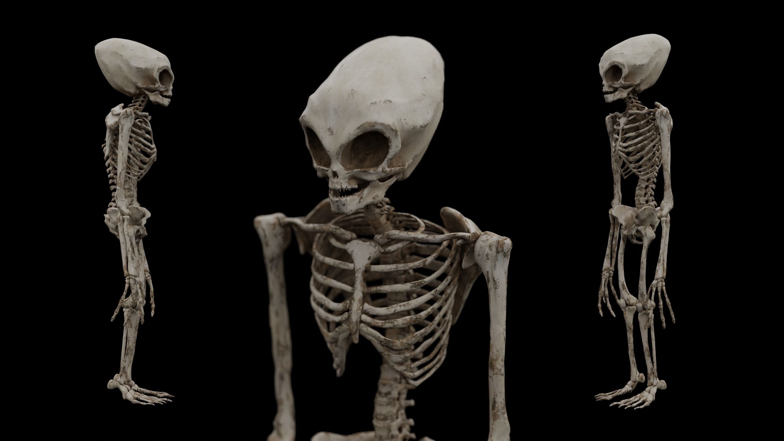 Humanoid Alien Skeleton  Low-poly 3D model_30
