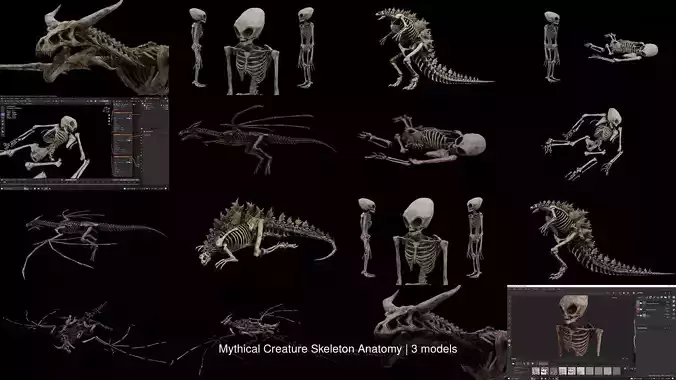 Mythical Creature Skeleton Anatomy 3D Model Collection