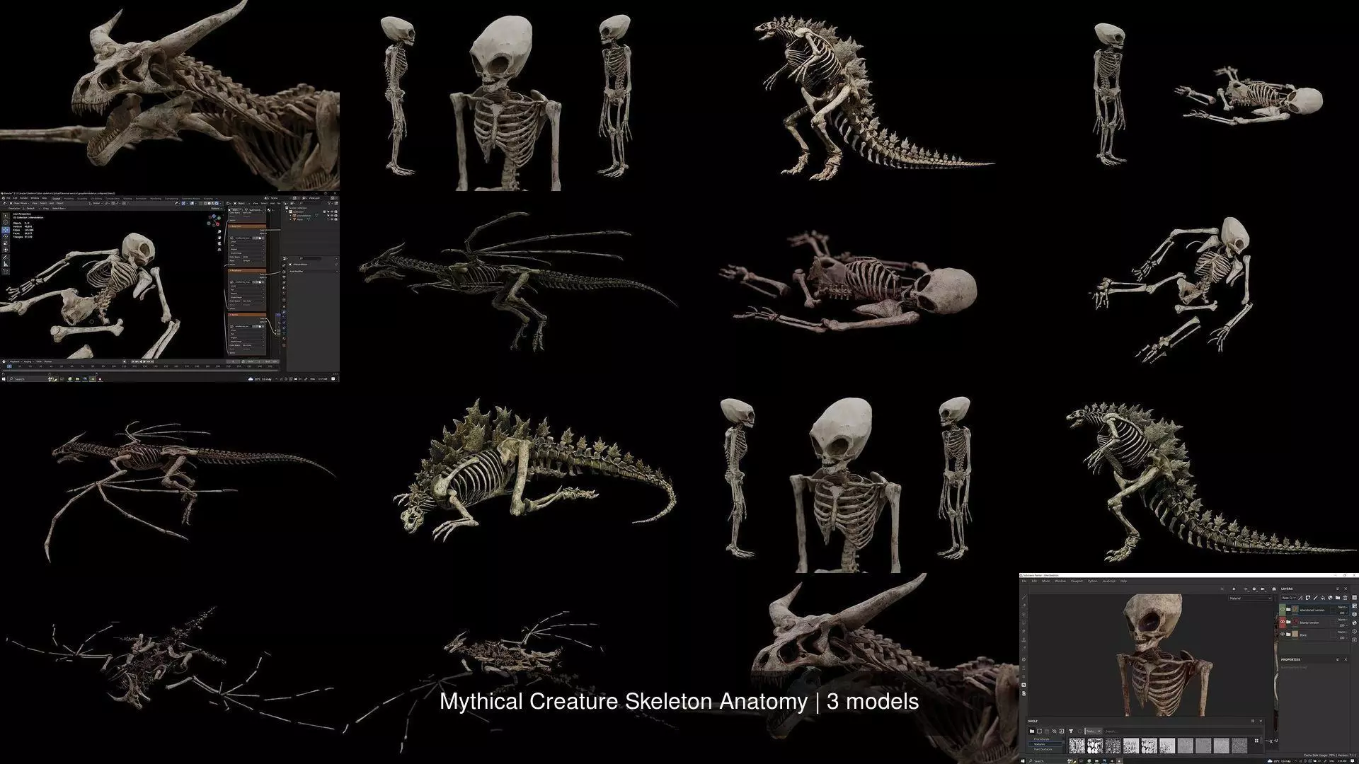 Mythical Creature Skeleton Anatomy 3D Model Collection_0