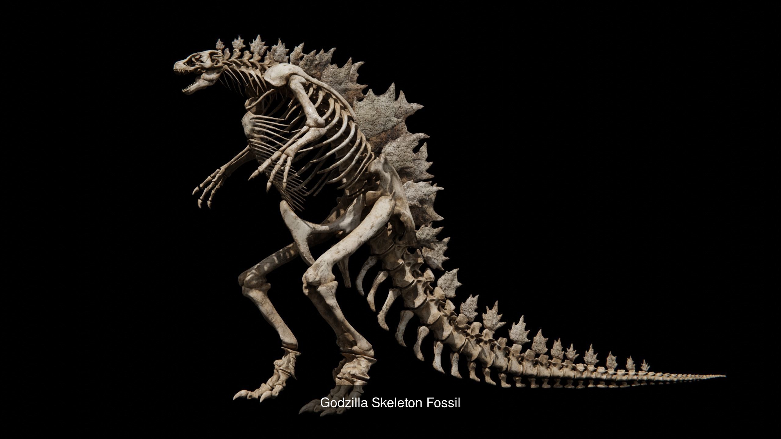 Mythical Creature Skeleton Anatomy 3D Model Collection_5