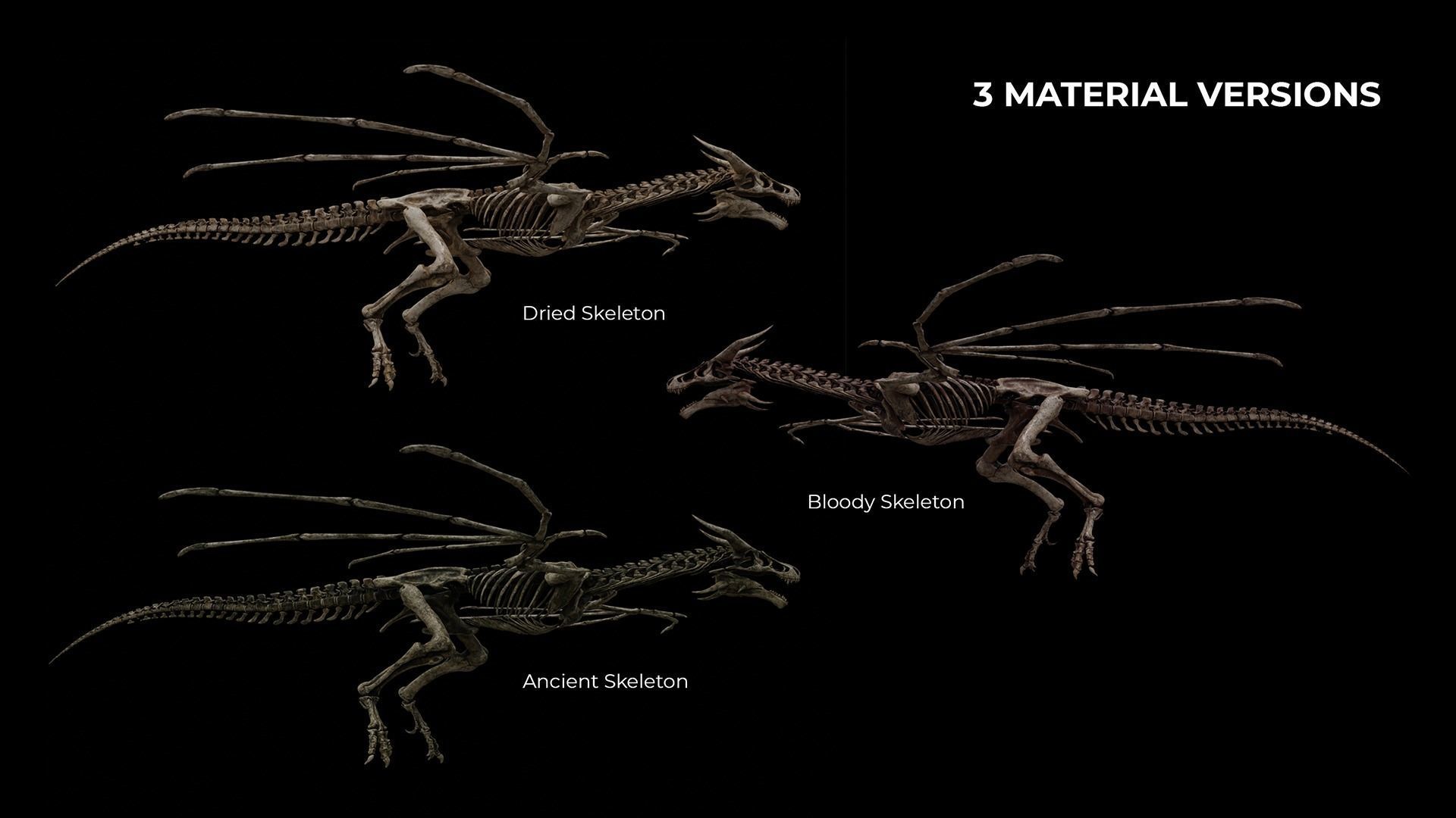 Mythical Creature Skeleton Anatomy 3D Model Collection_11