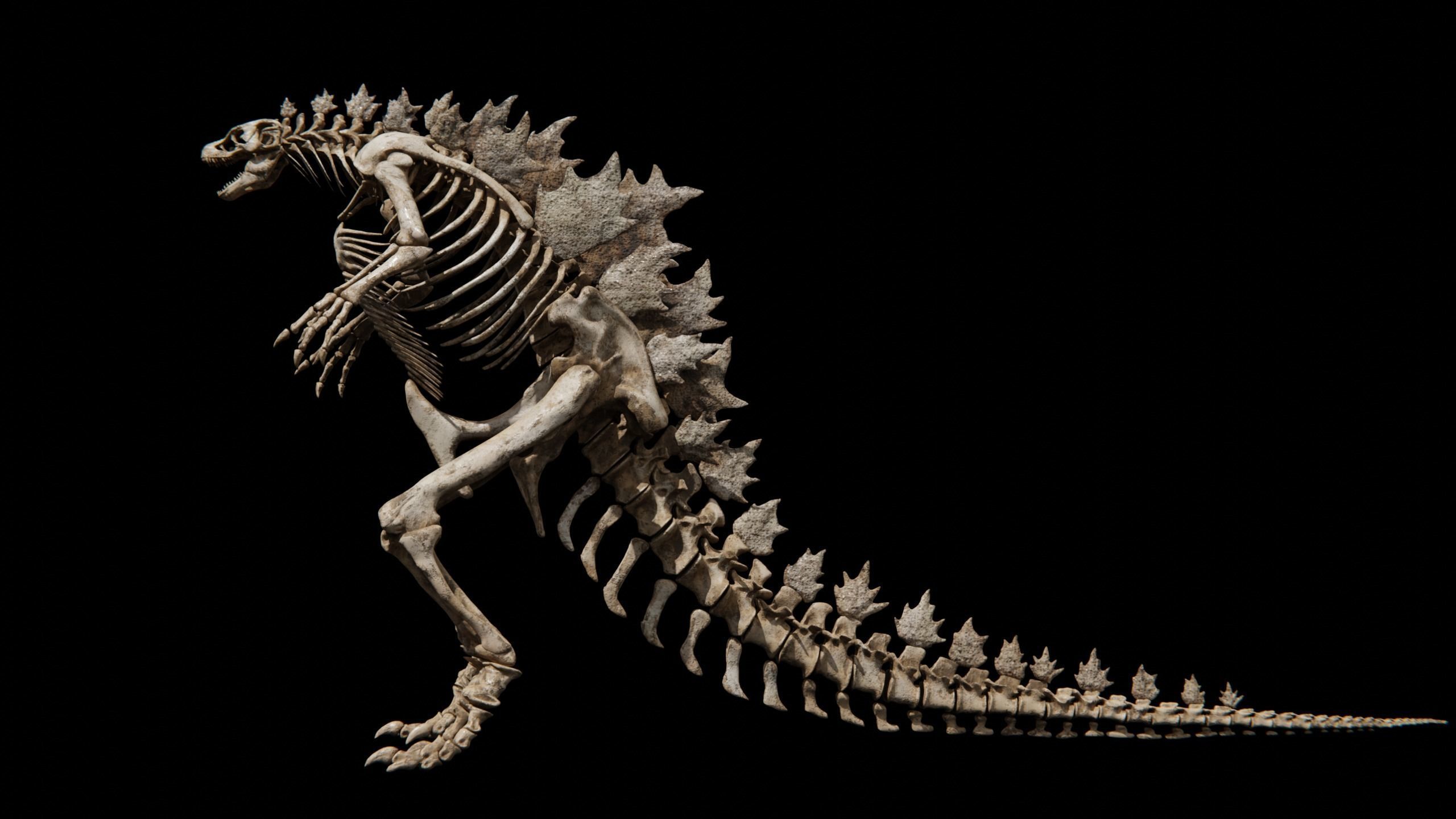 Mythical Creature Skeleton Anatomy 3D Model Collection_16