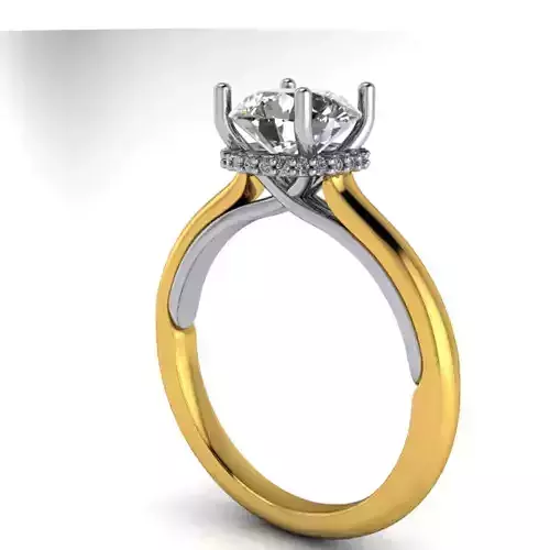 Modern Hidden halo Engagement Promise Wedding Ring 3D print model