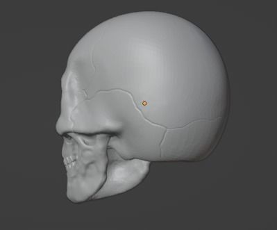 Skull- horned skull Free 3D print model_1