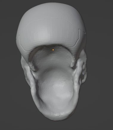 Skull- horned skull Free 3D print model_3