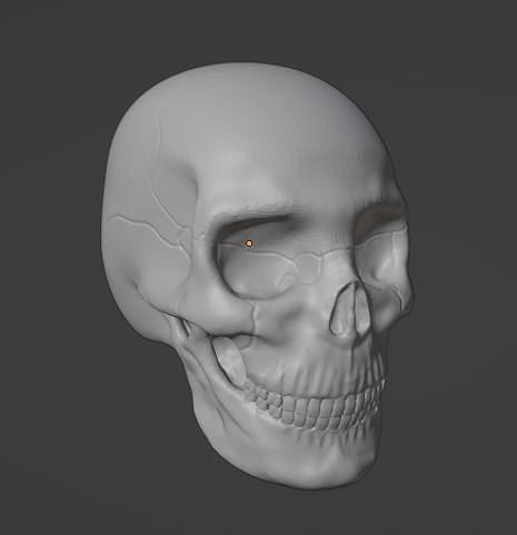 Skull- horned skull Free 3D print model