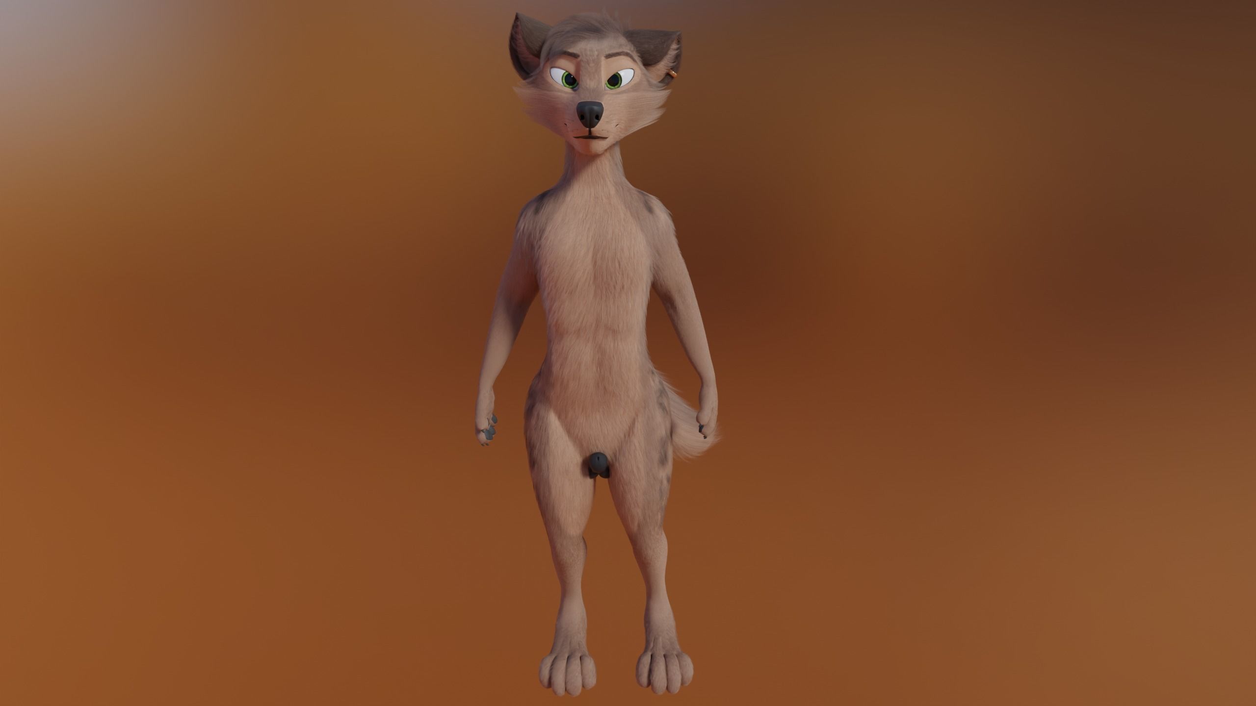 Kovu Anthro Wolf 3D model_23