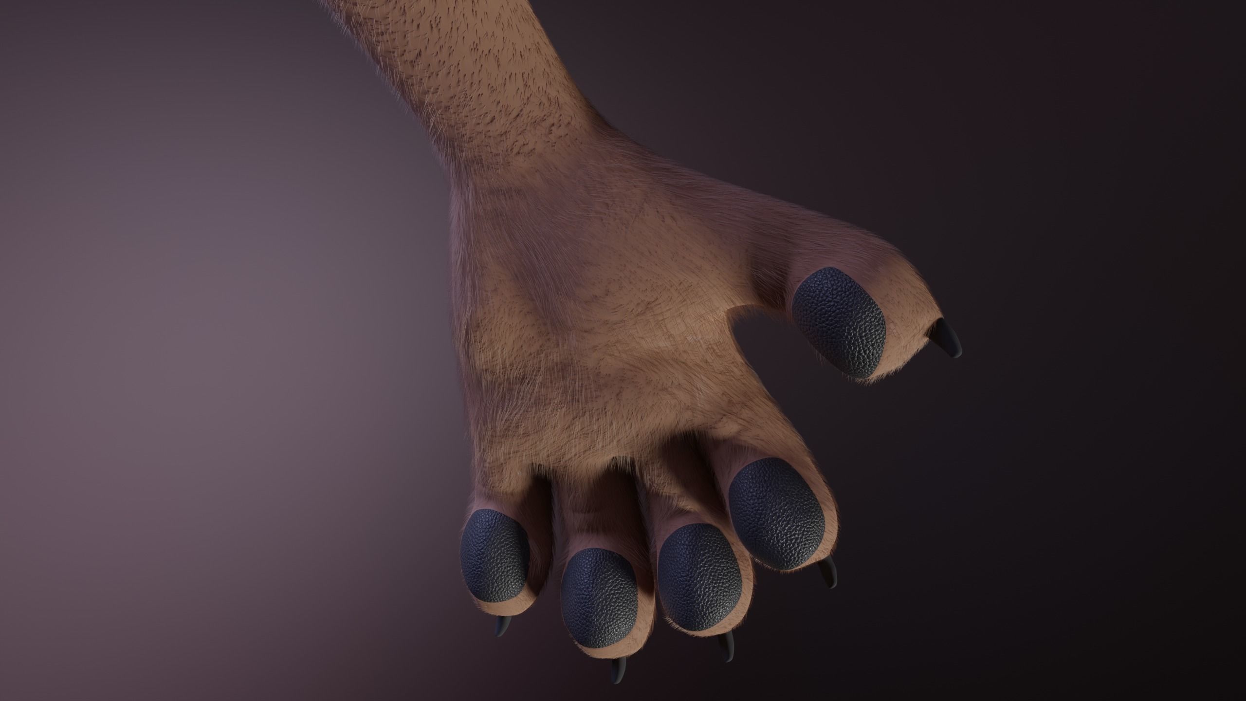 Kovu Anthro Wolf 3D model_13