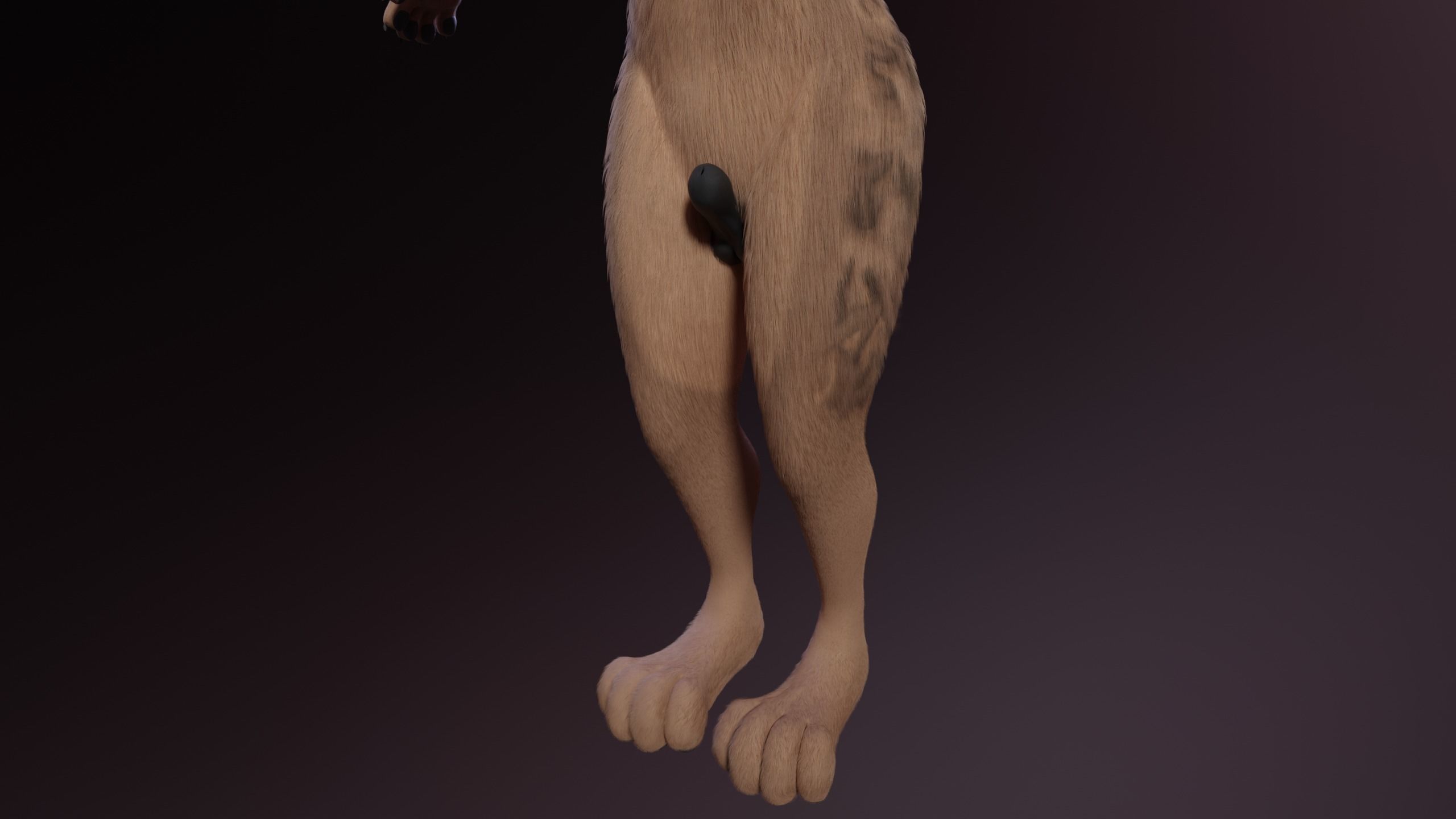 Kovu Anthro Wolf 3D model_9