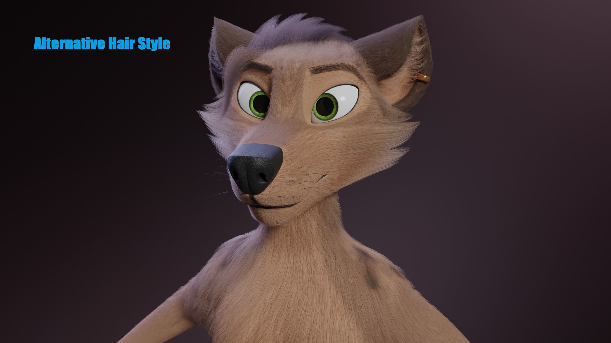 Kovu Anthro Wolf 3D model_27