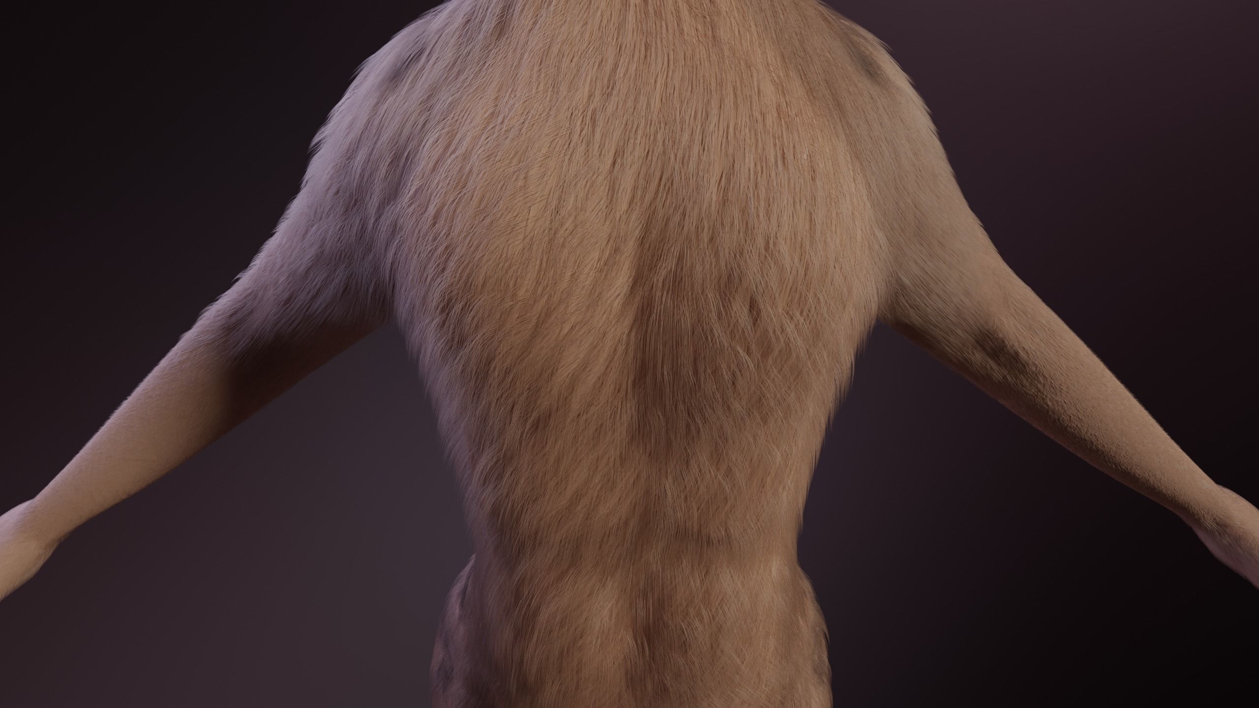Kovu Anthro Wolf 3D model_18