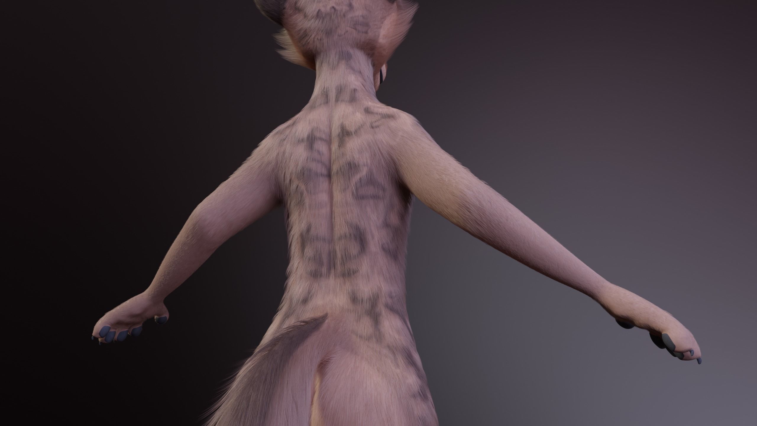 Kovu Anthro Wolf 3D model_8