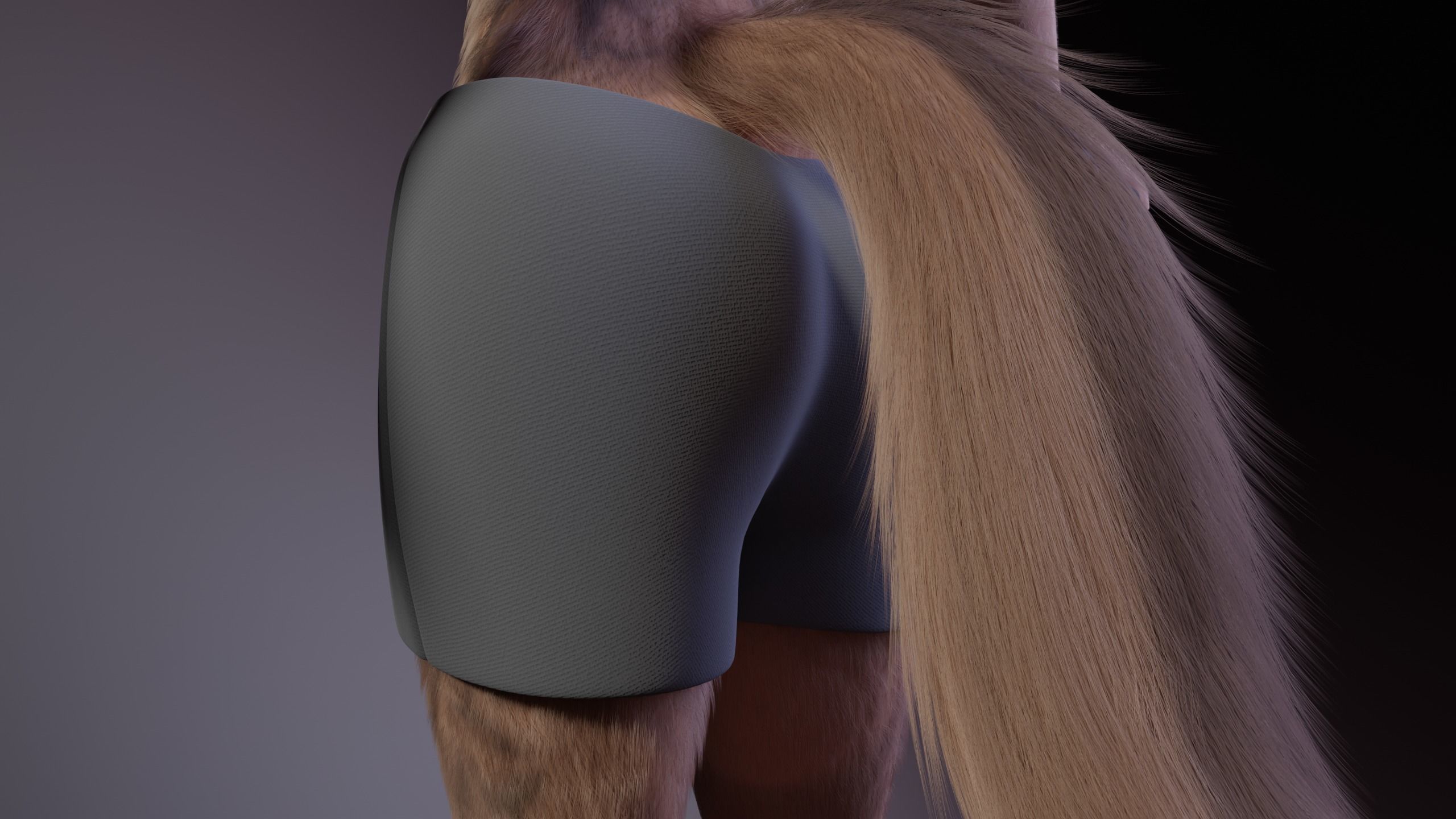 Kovu Anthro Wolf 3D model_30