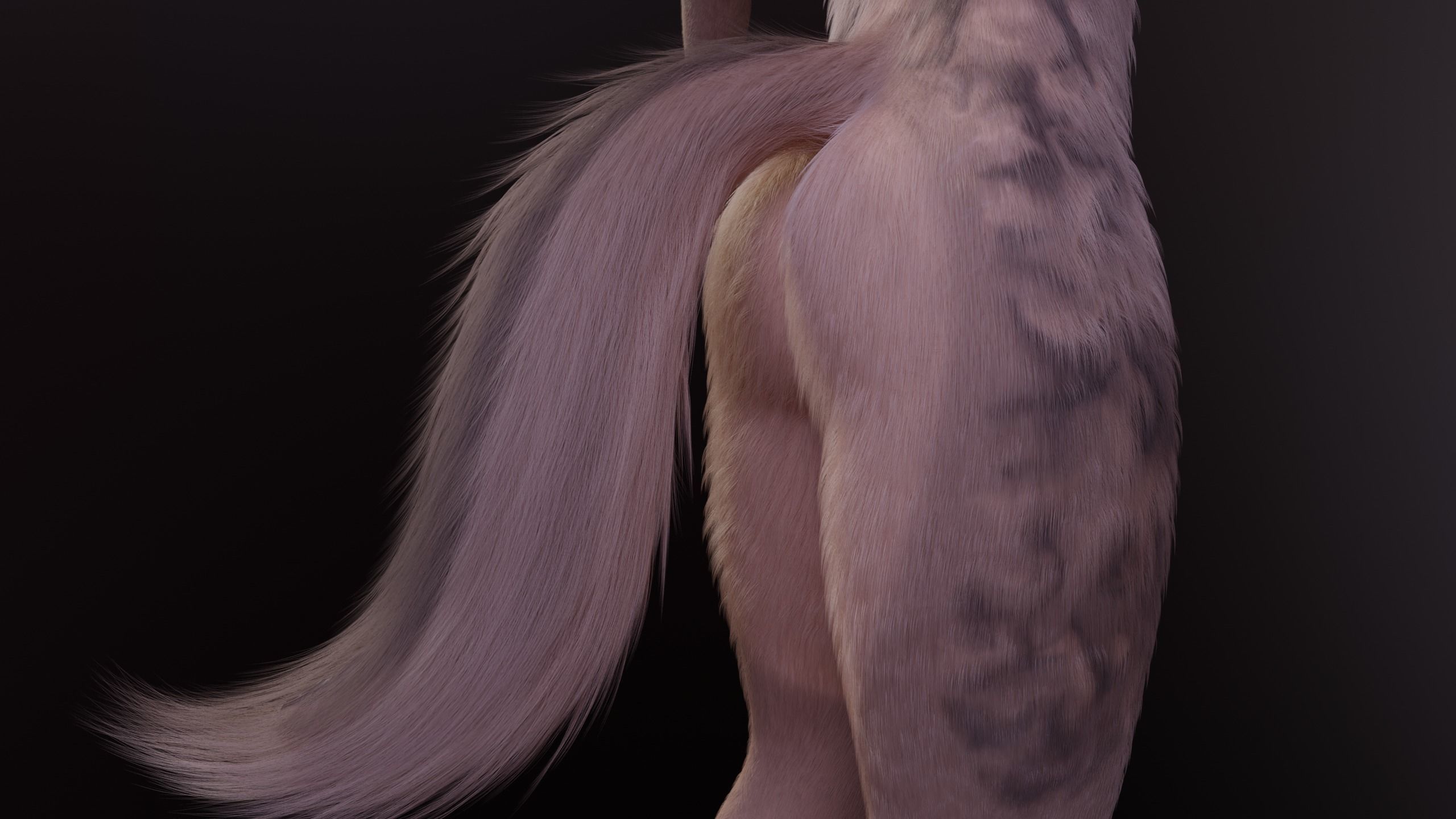 Kovu Anthro Wolf 3D model_11