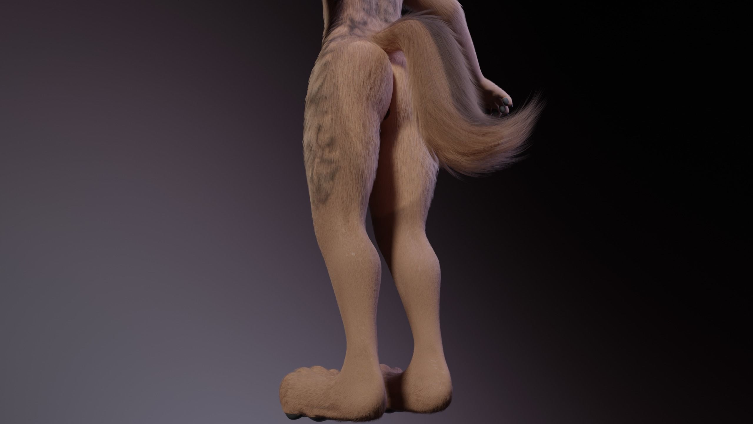 Kovu Anthro Wolf 3D model_10