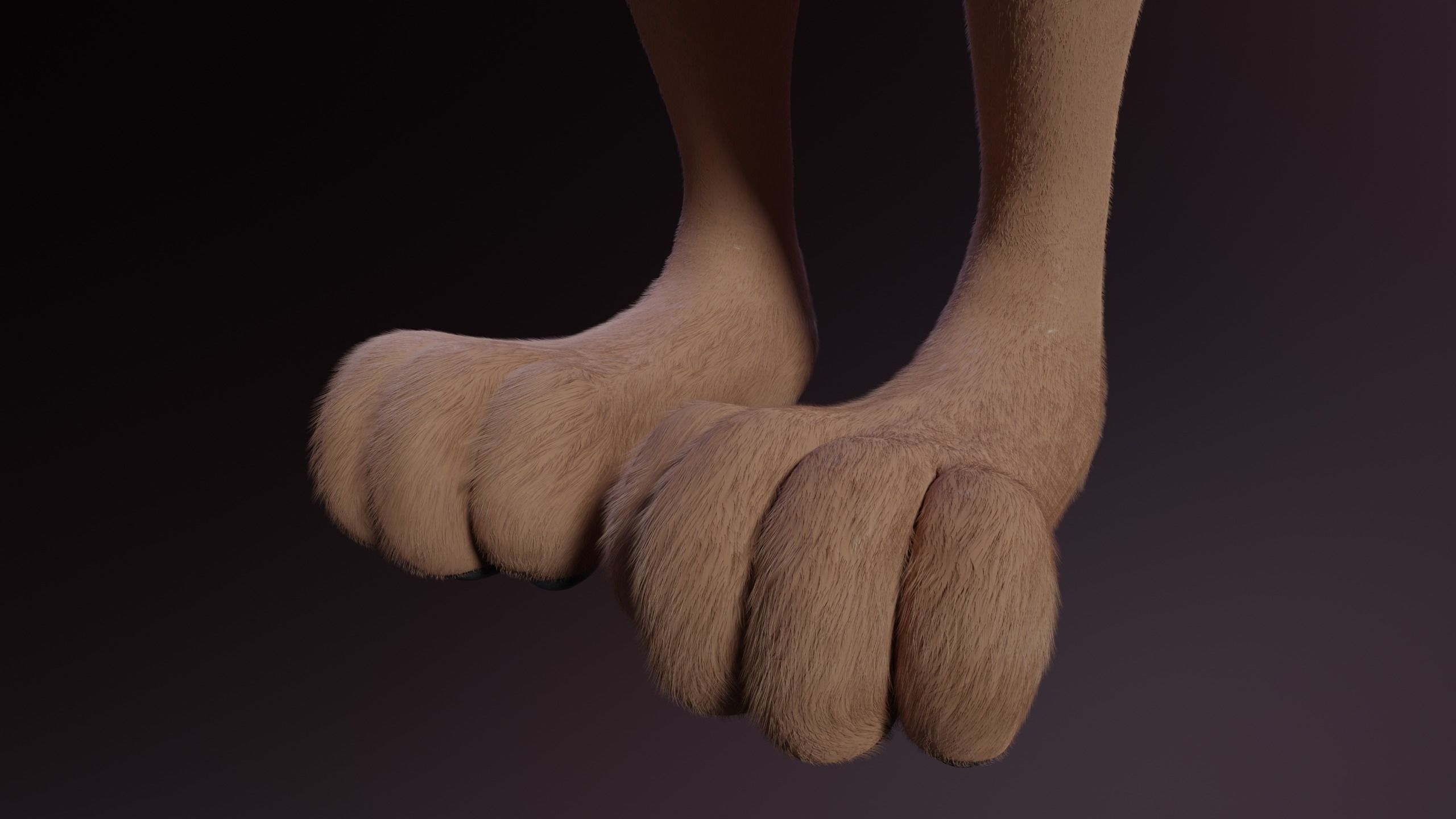 Kovu Anthro Wolf 3D model_14