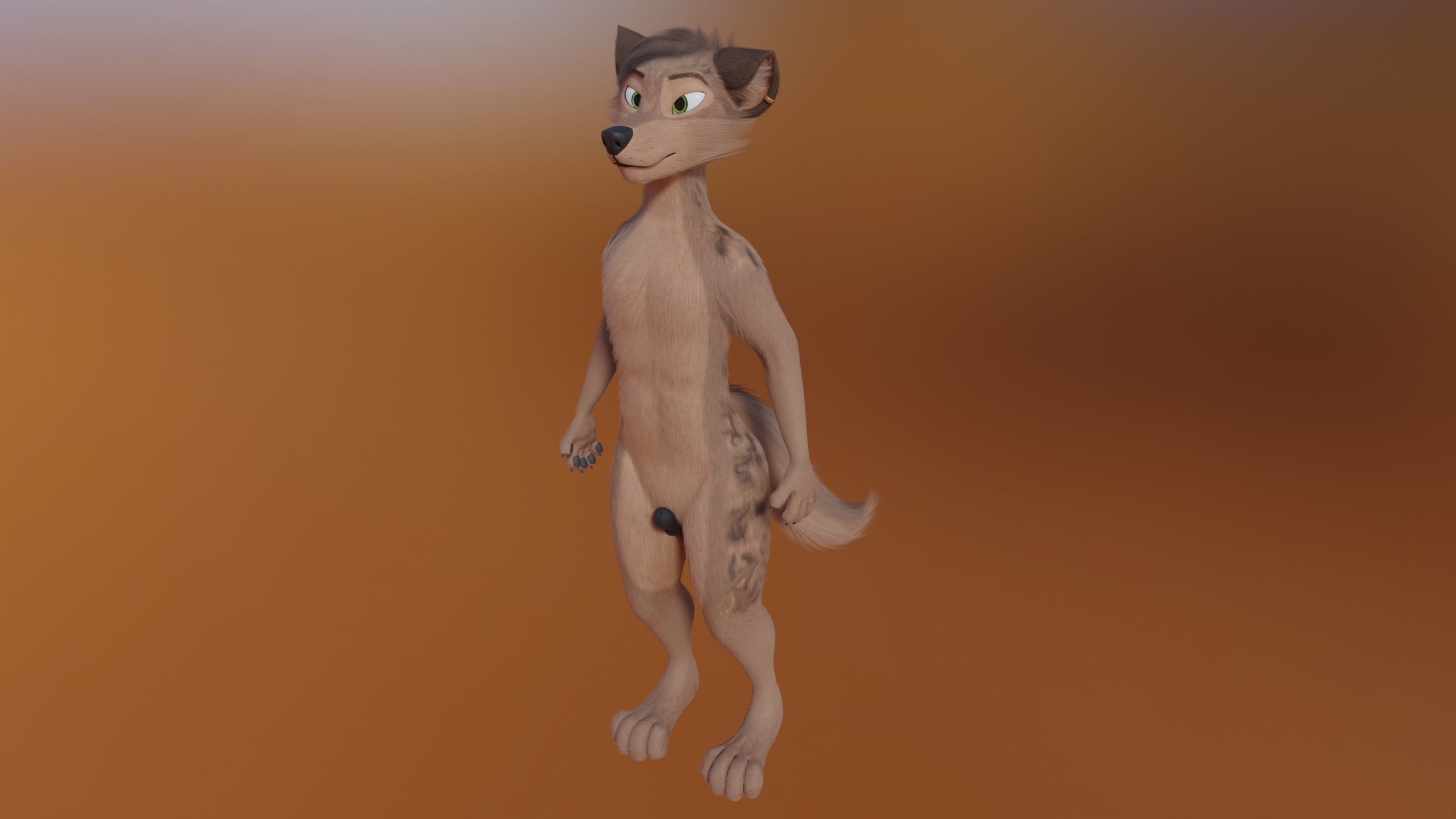 Kovu Anthro Wolf 3D model_24