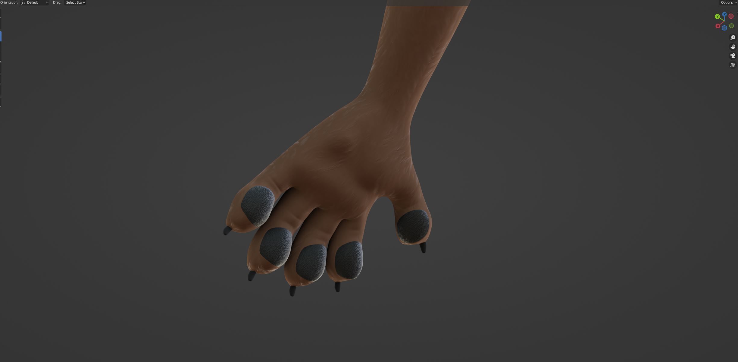 Kovu Anthro Wolf 3D model_65