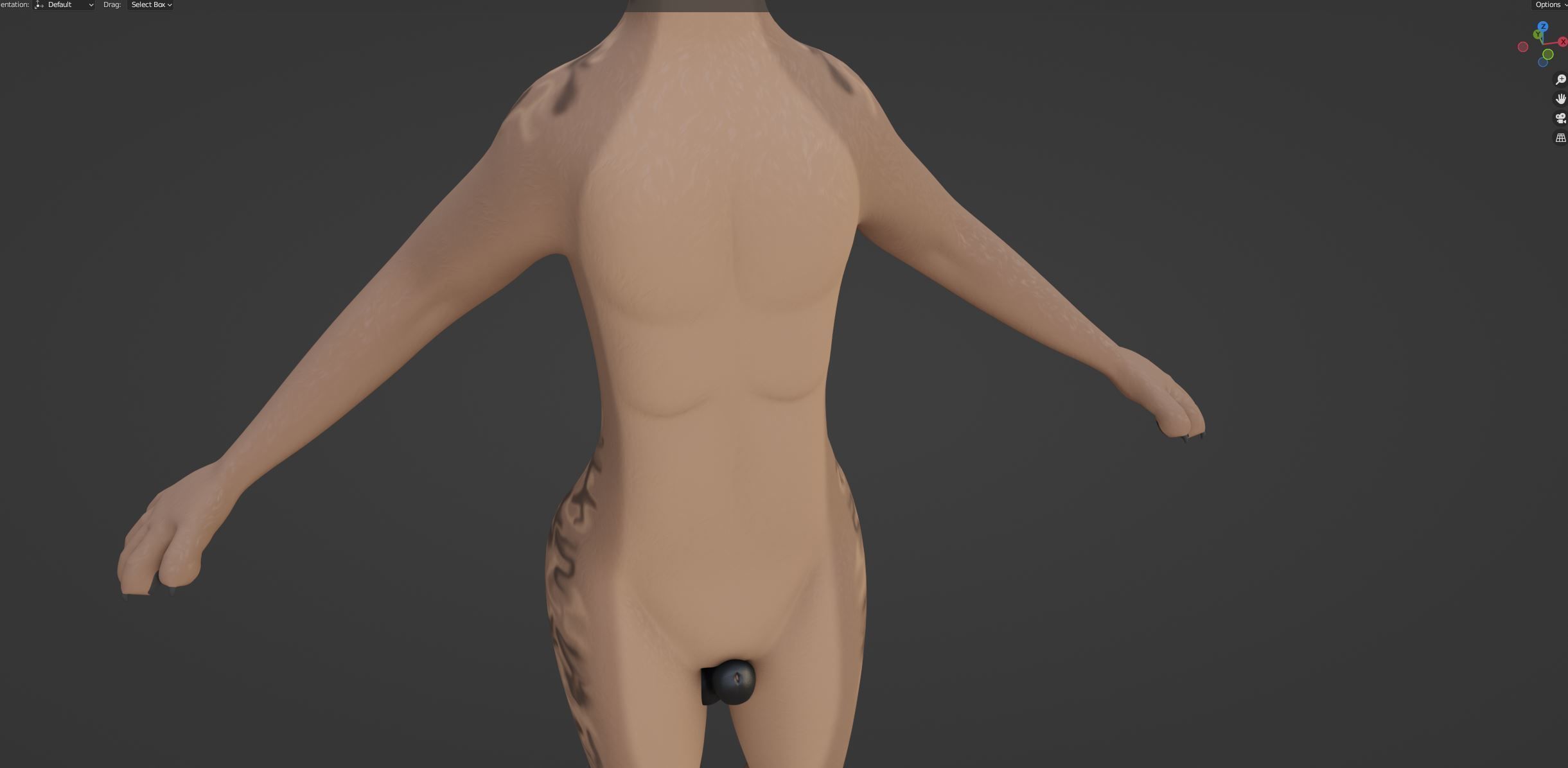 Kovu Anthro Wolf 3D model_59