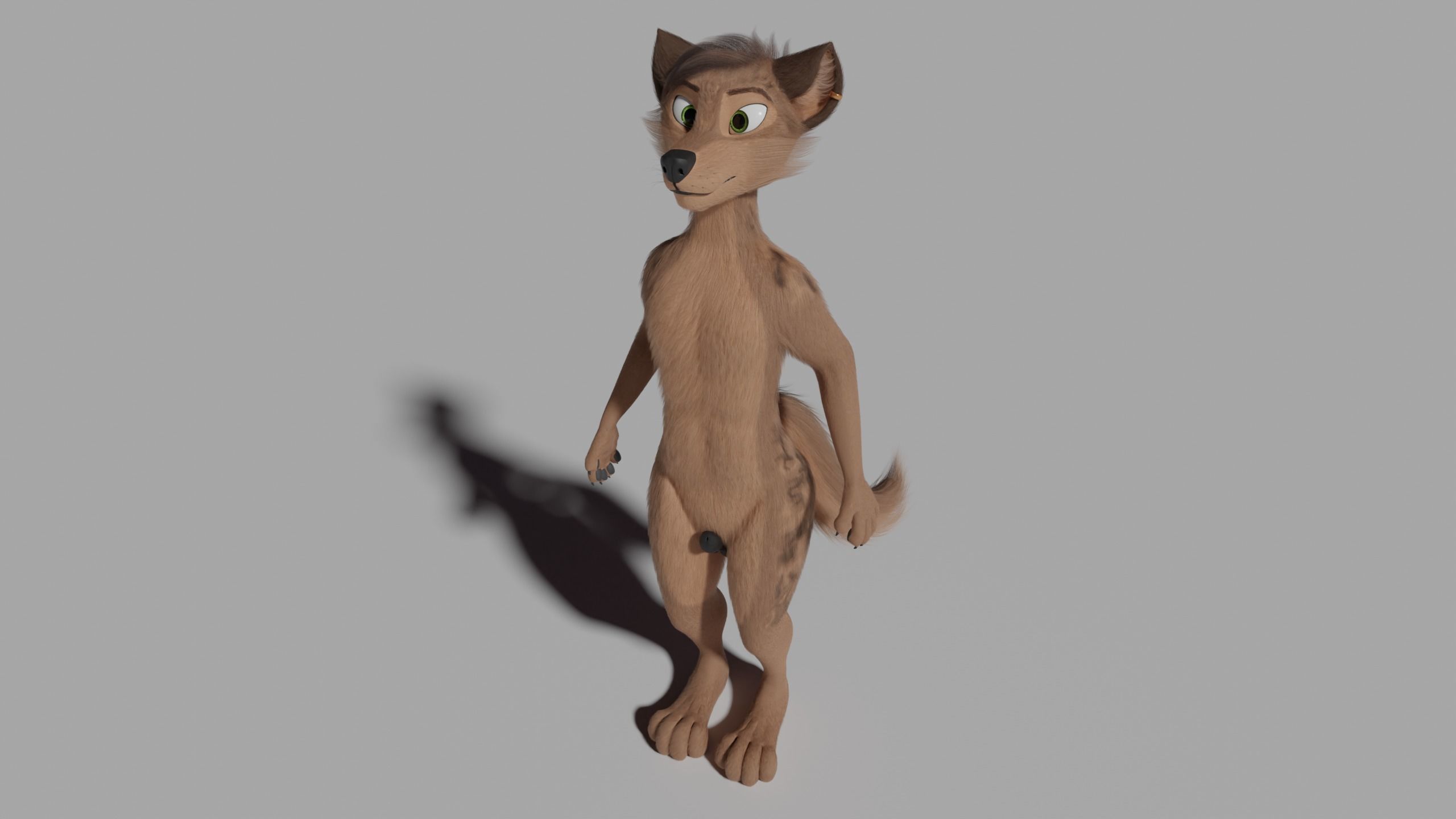 Kovu Anthro Wolf 3D model_44