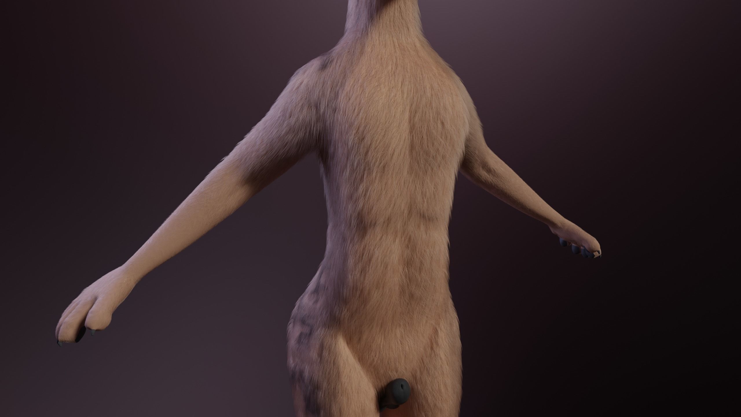 Kovu Anthro Wolf 3D model_7