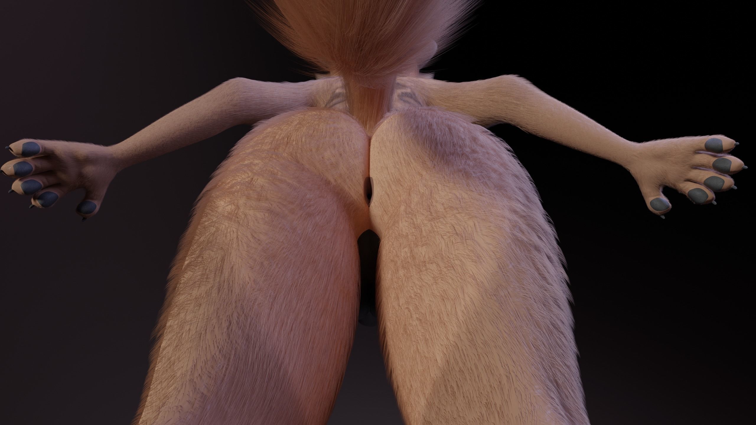 Kovu Anthro Wolf 3D model_17