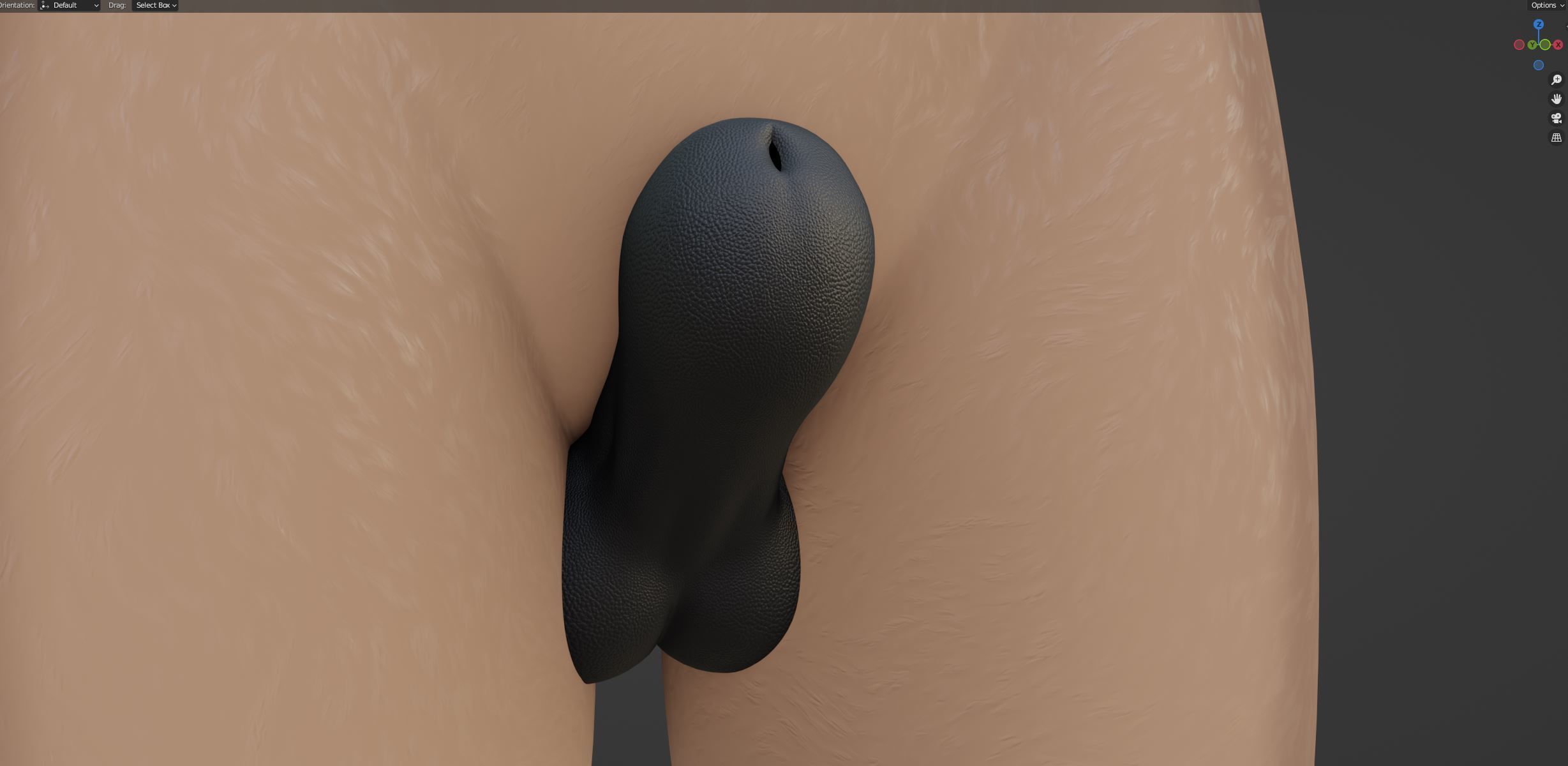 Kovu Anthro Wolf 3D model_62