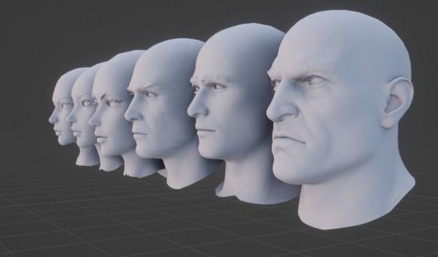 Head Mesh Collection Low-poly 3D model_2