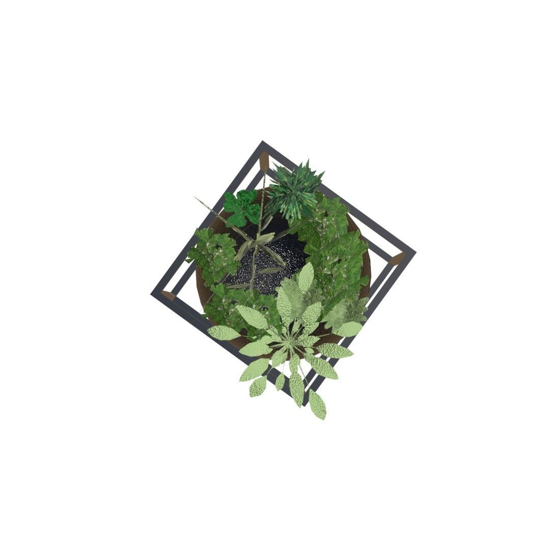 Decorative plants Low-poly 3D model_5